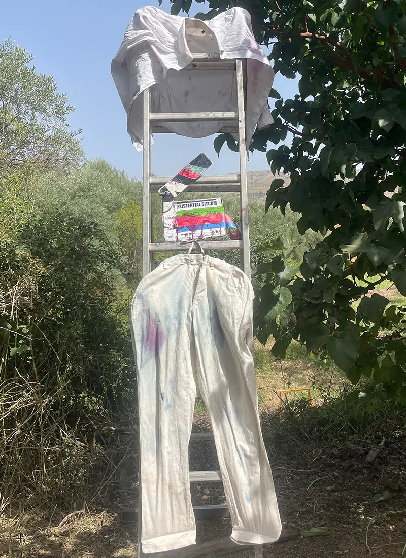 ladder and shirt tree