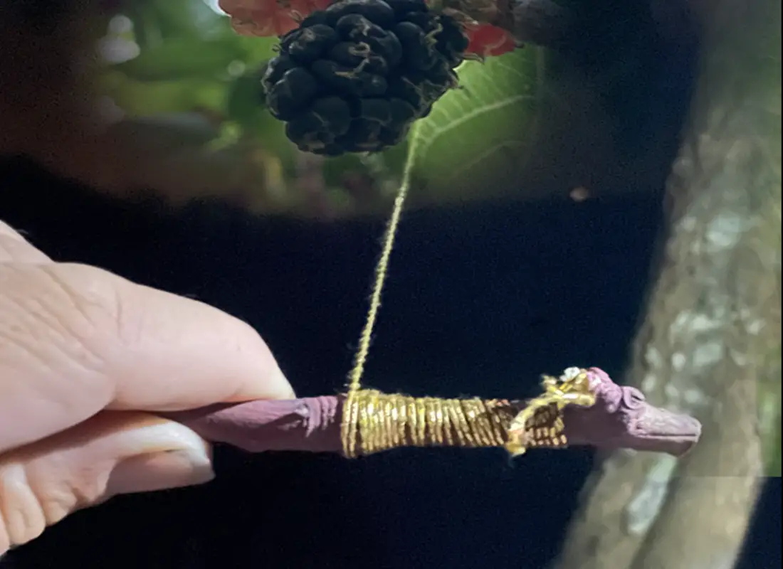 dragon mulberry landscape